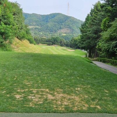 경기 용인시 골드CC 예약하기 주차장 홈페이지 맛집