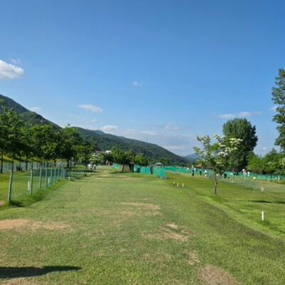 경기 가평군 가평파크골프장 예약하기 주차장 홈페이지 맛집