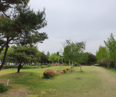 서울 양천구 서남물재생센터공원파크골프장 예약하기 주차장 홈페이지 맛집