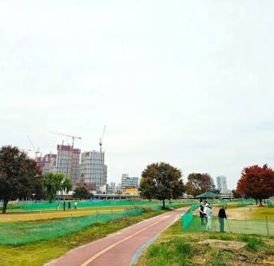 대전 중구 버드내-태평파크골프장 예약하기 주차장 홈페이지 맛집