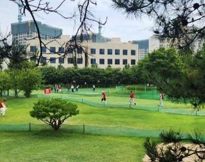 경기 평택시 평택파크골프장 예약하기 주차장 홈페이지 맛집