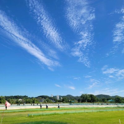 경기 평택시 진위파크골프장 예약하기 주차장 홈페이지 맛집